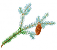 ��� ��������� �������