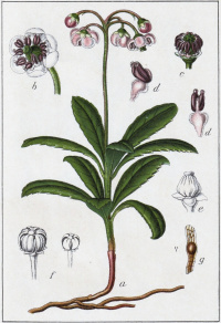 ��������� ���������