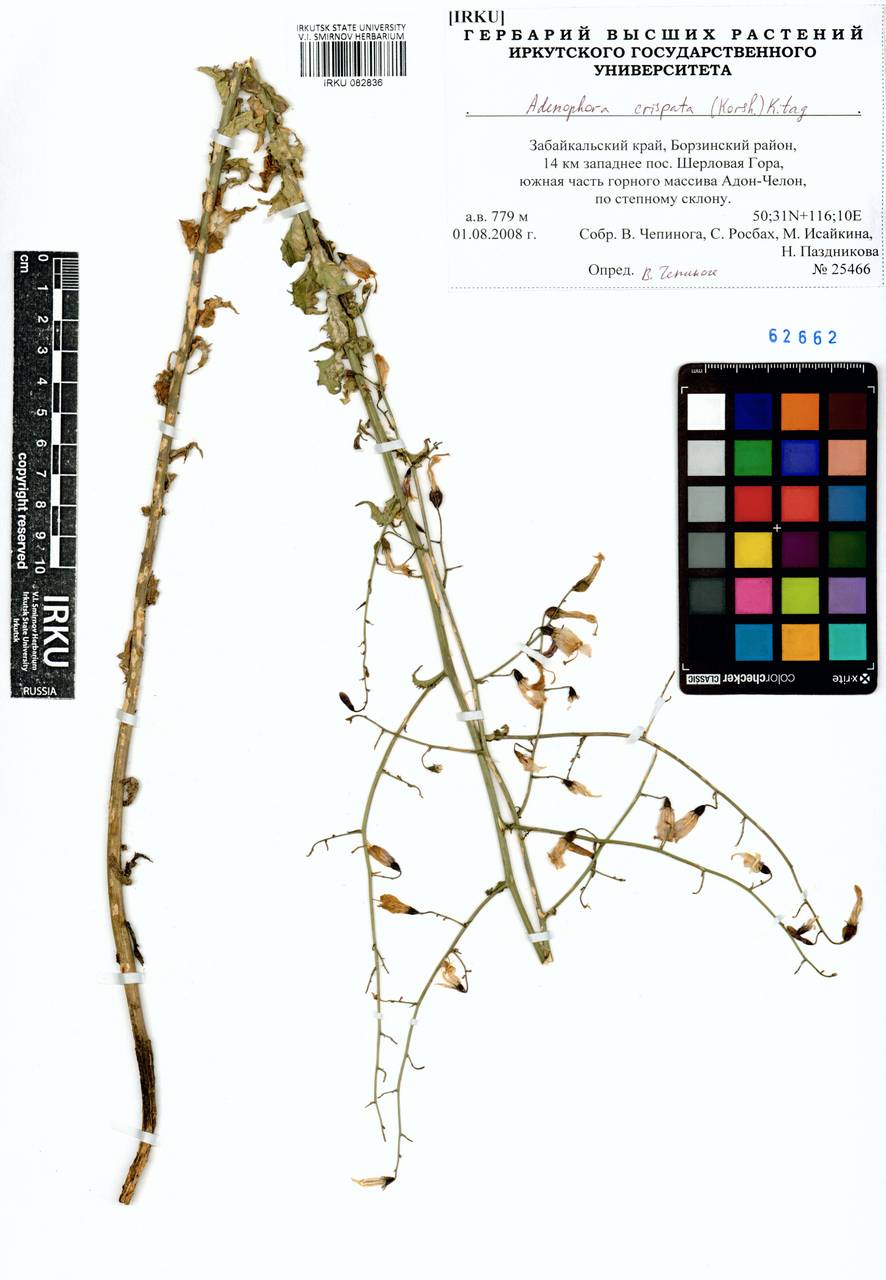 �������� ��������