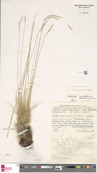 �������� ������������