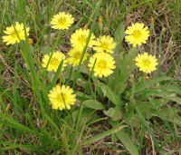 ������� ���������