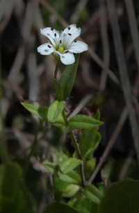 ��������������� ��������