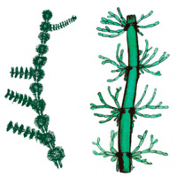 ��������� ��������