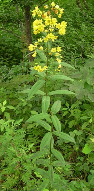 ��������� ��������