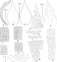 �������� ��������� 