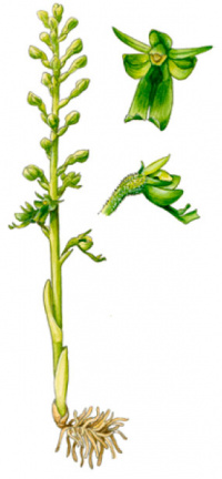 ��������� ����������