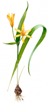 ��������� ���������