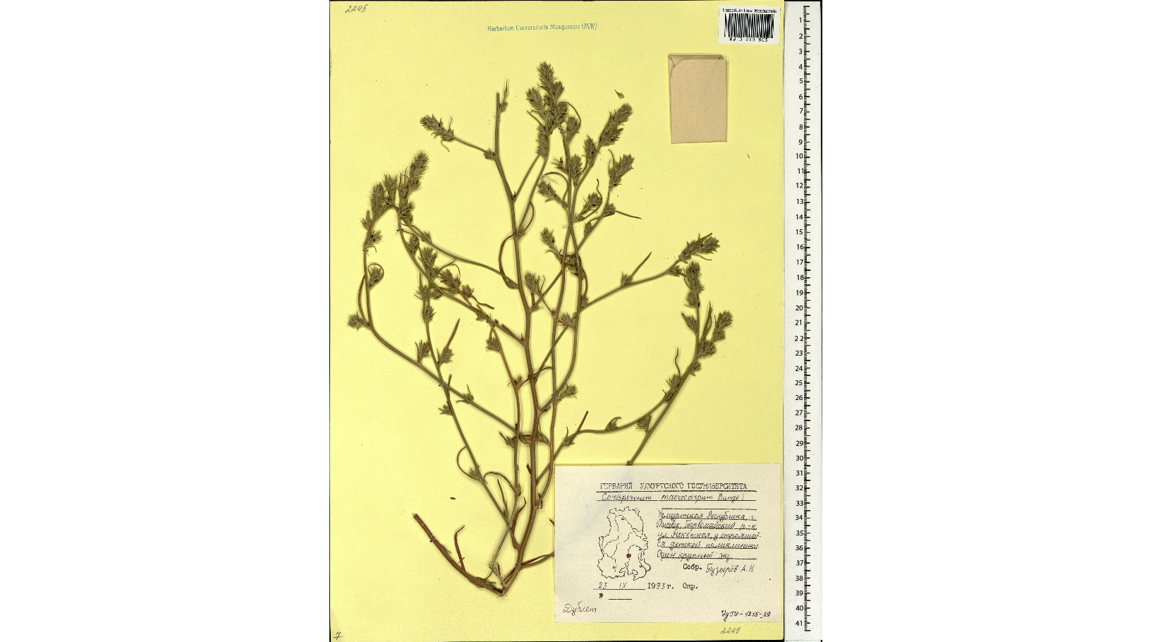 ��������� �������������