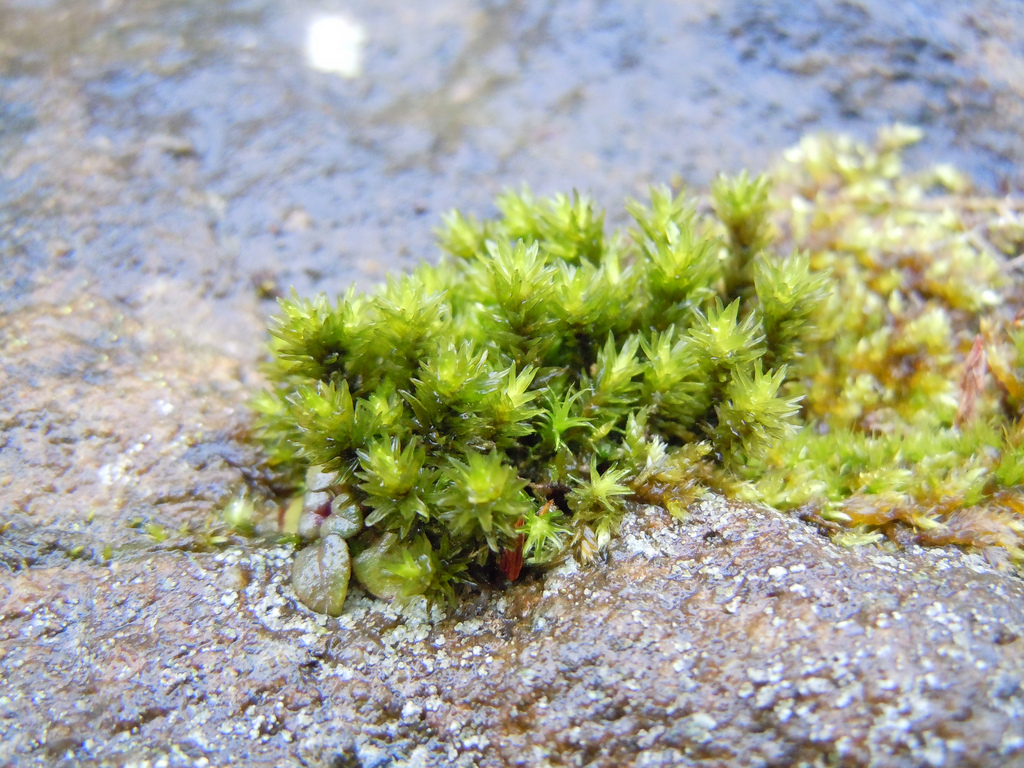 ���������� �����