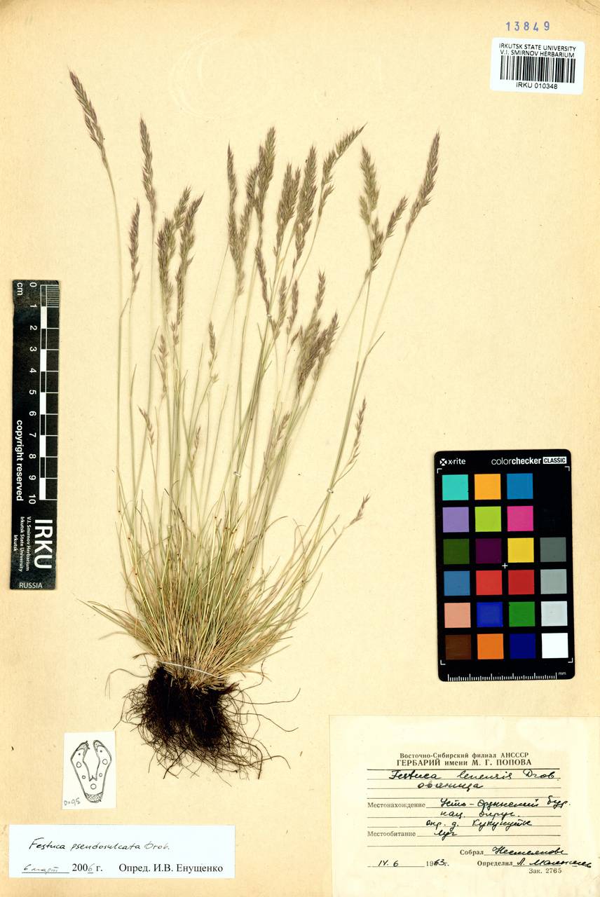 �������� ����������������