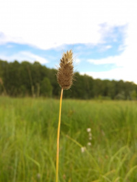 ��������� ��������������