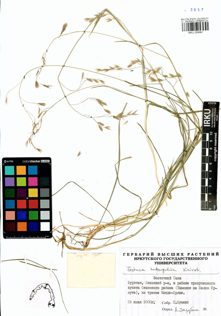 �������� �������������