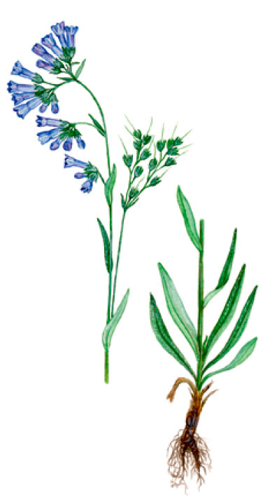 ��������� ��������