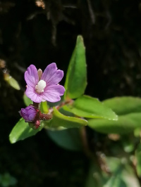 ������ ������������������