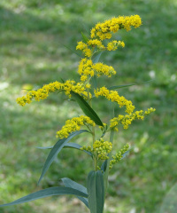 ���������� ����������