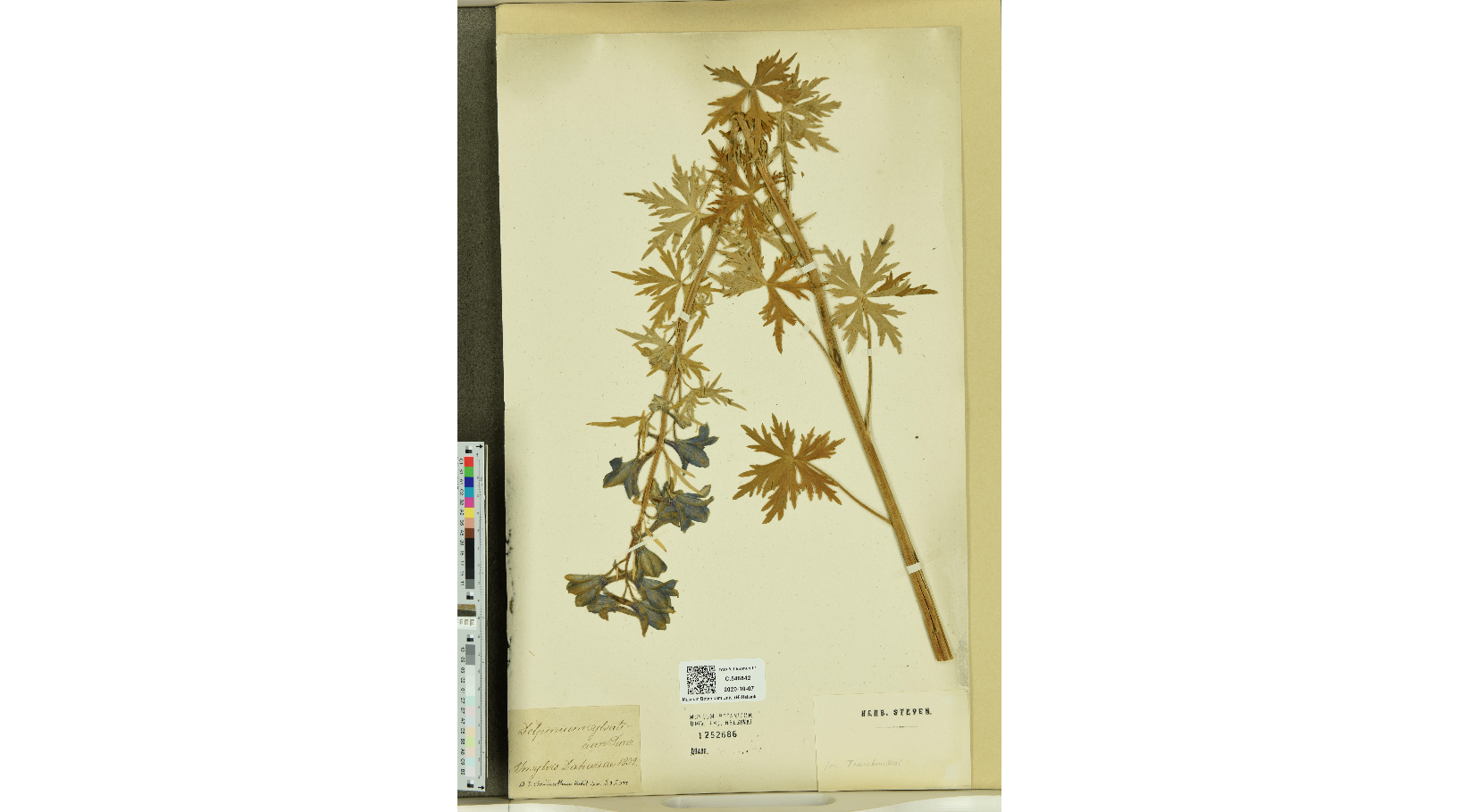 ��������� �����������