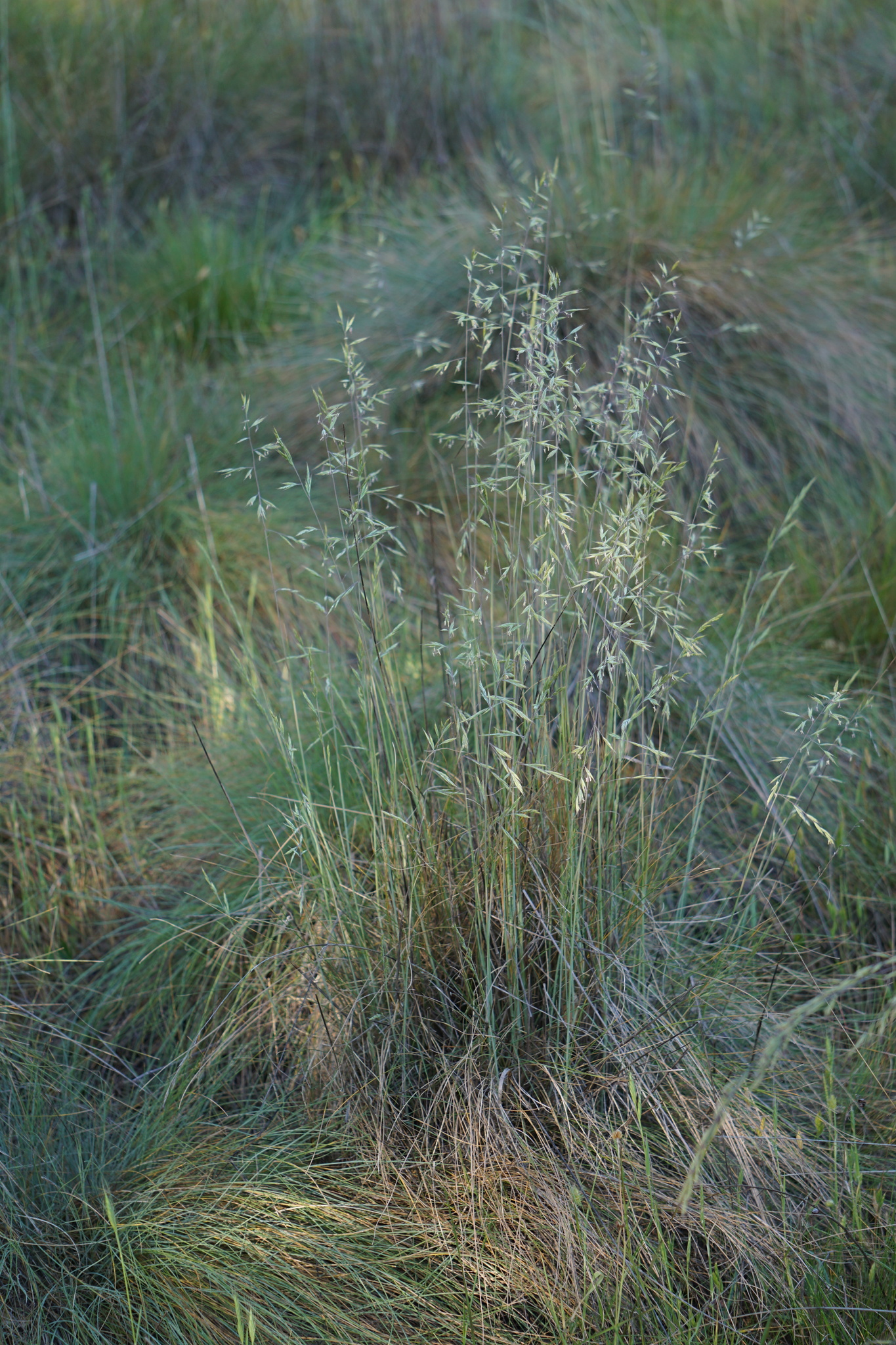 �������� �������