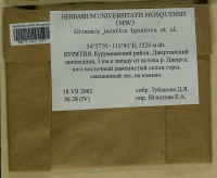 ������� ��������