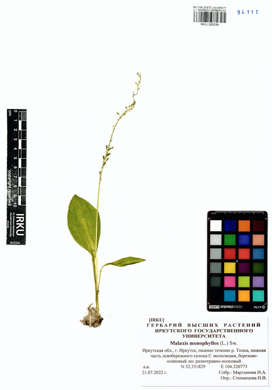 �������� �����������