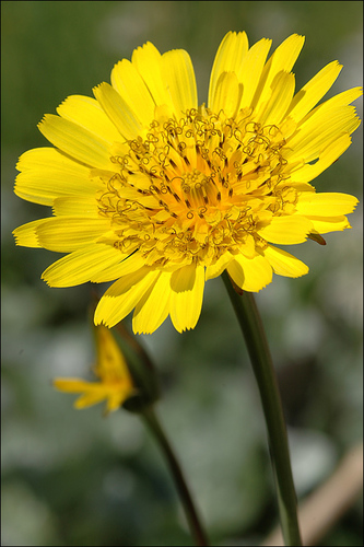 ������������� ���������