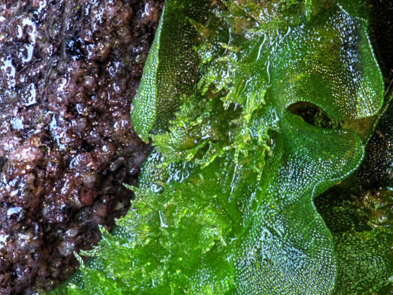 ̸���� �������