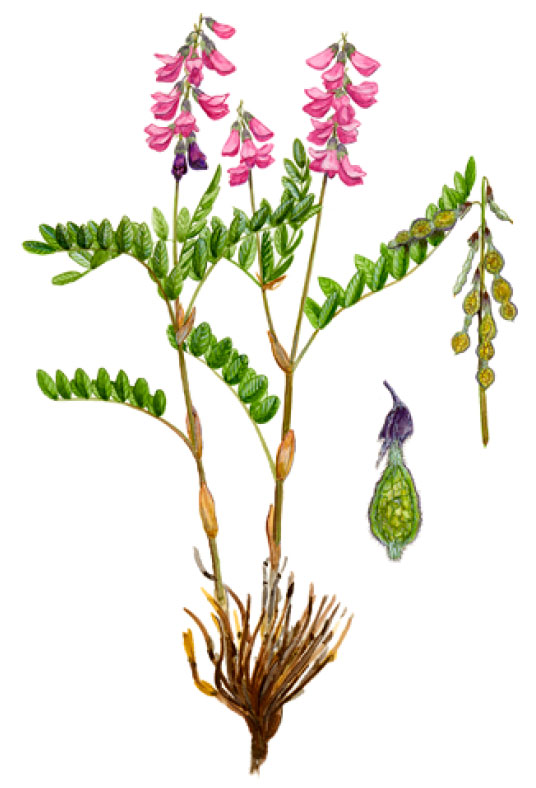 ��������� ���������������