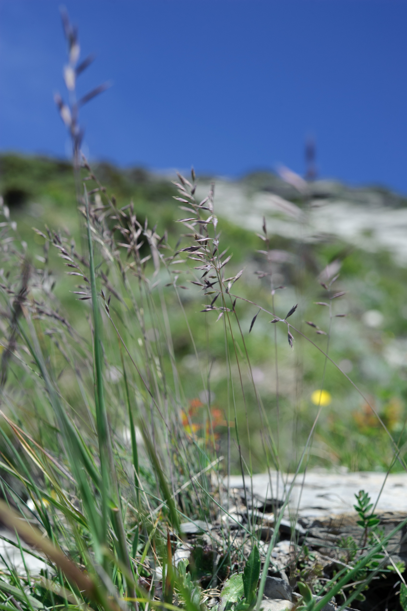 �������� ������