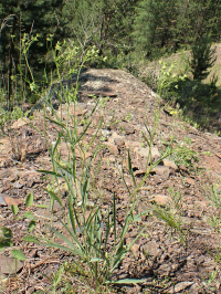 ��������� ���������������