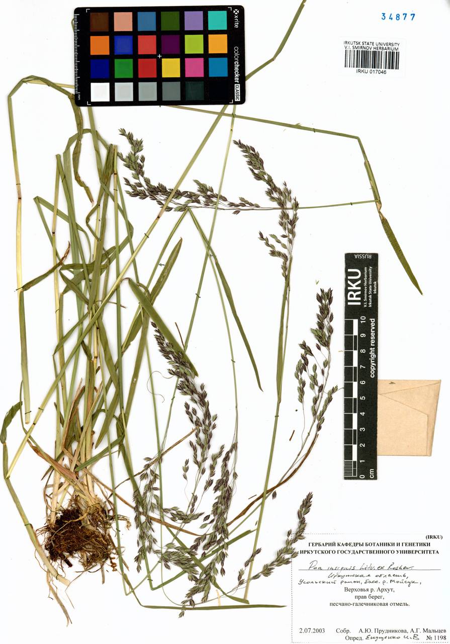 ������ ��������������