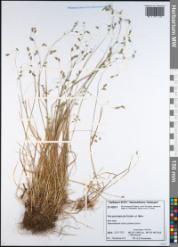 ������ ���������������