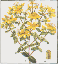 �������� ���������, ��� ��������������