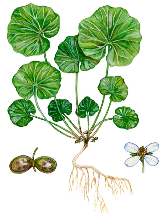 ��������� ���������