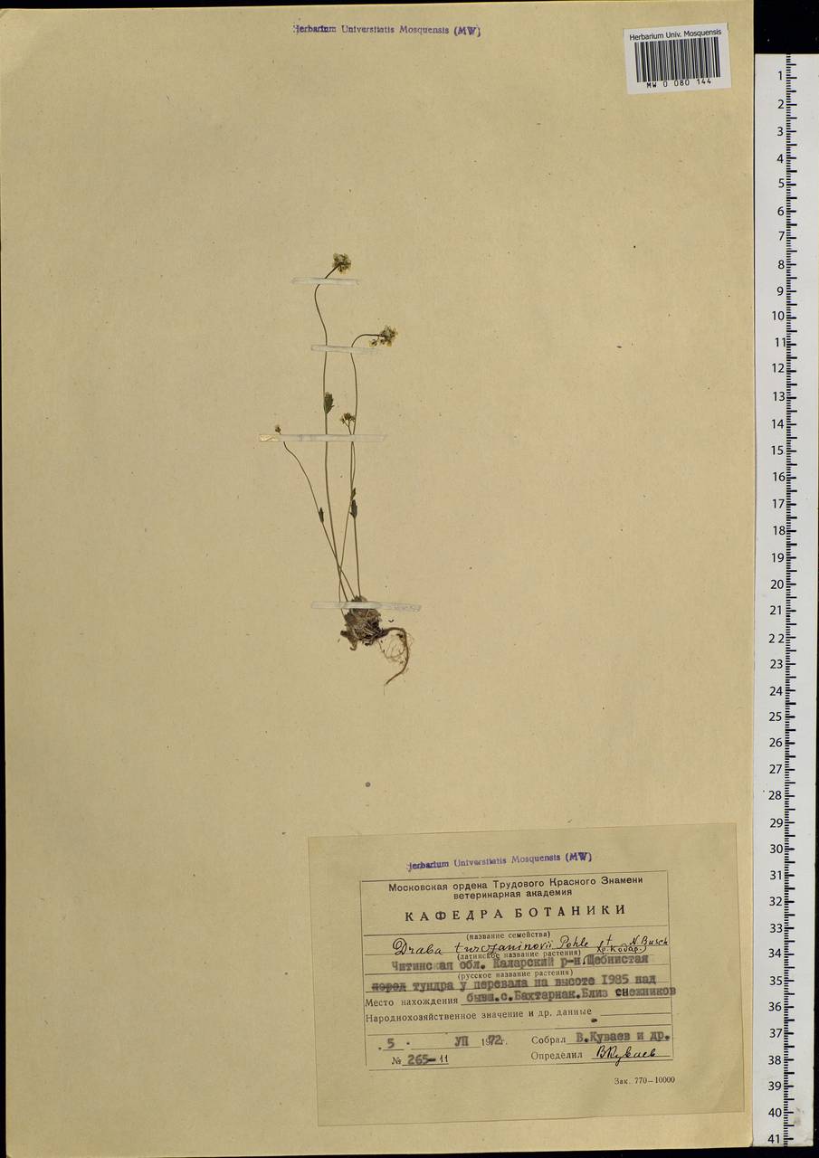 ������ �����������