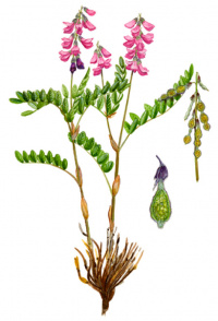 ��������� ���������������