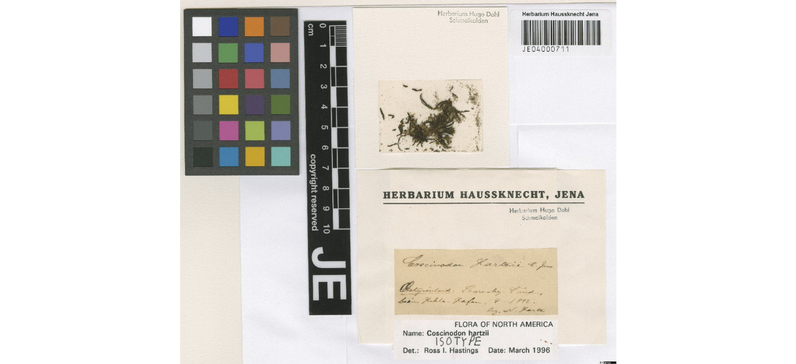 ���������� �����