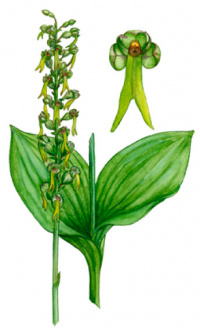 ��������� ���������� (������ ����������)