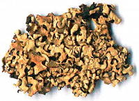 ����������� ����������������