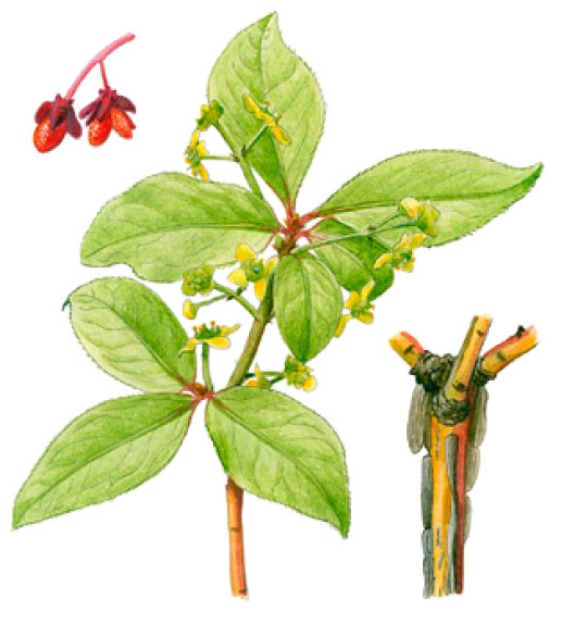 ��������� ���������