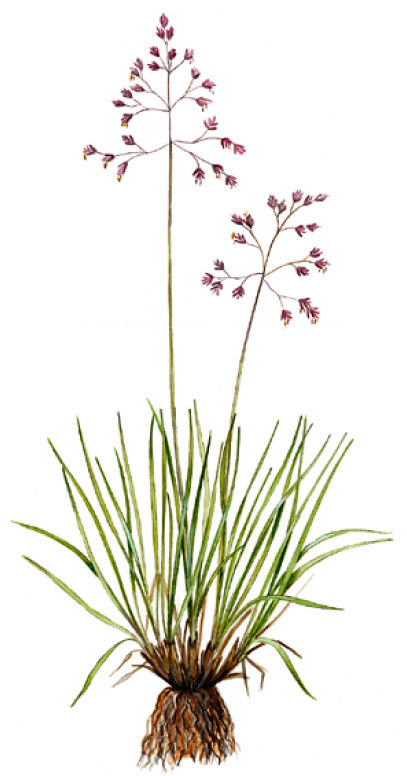 �������� ������