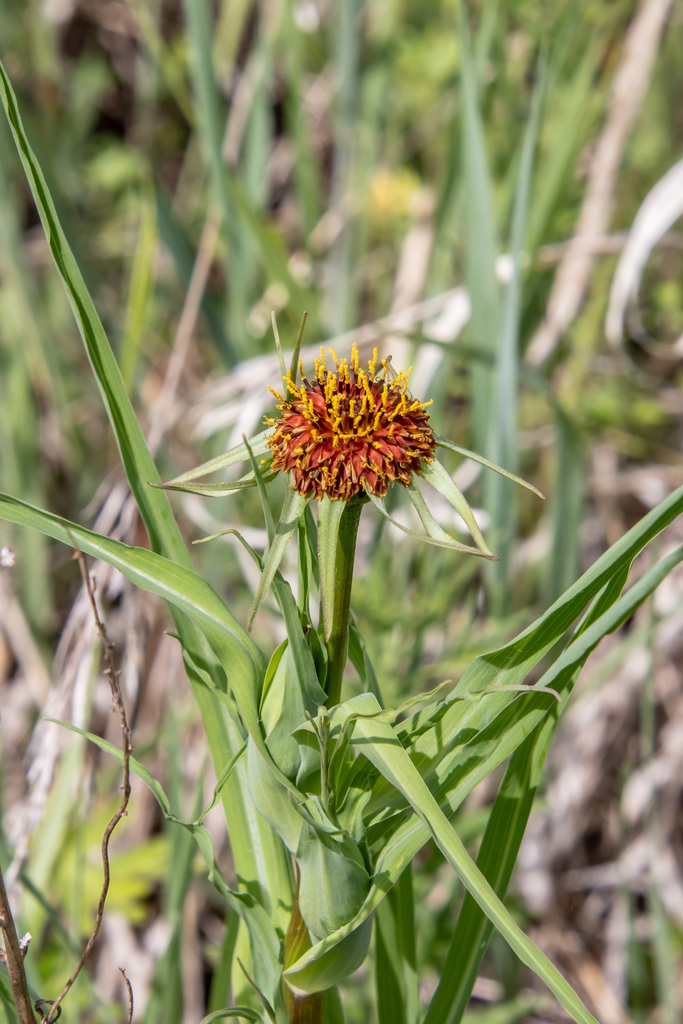 ������������� ���������