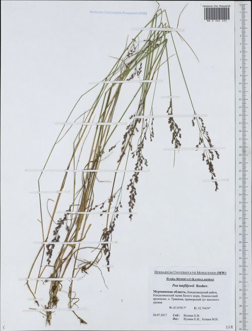 ������ ����������