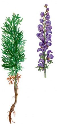 ����� ����������������