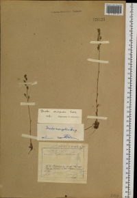 ������ ��������