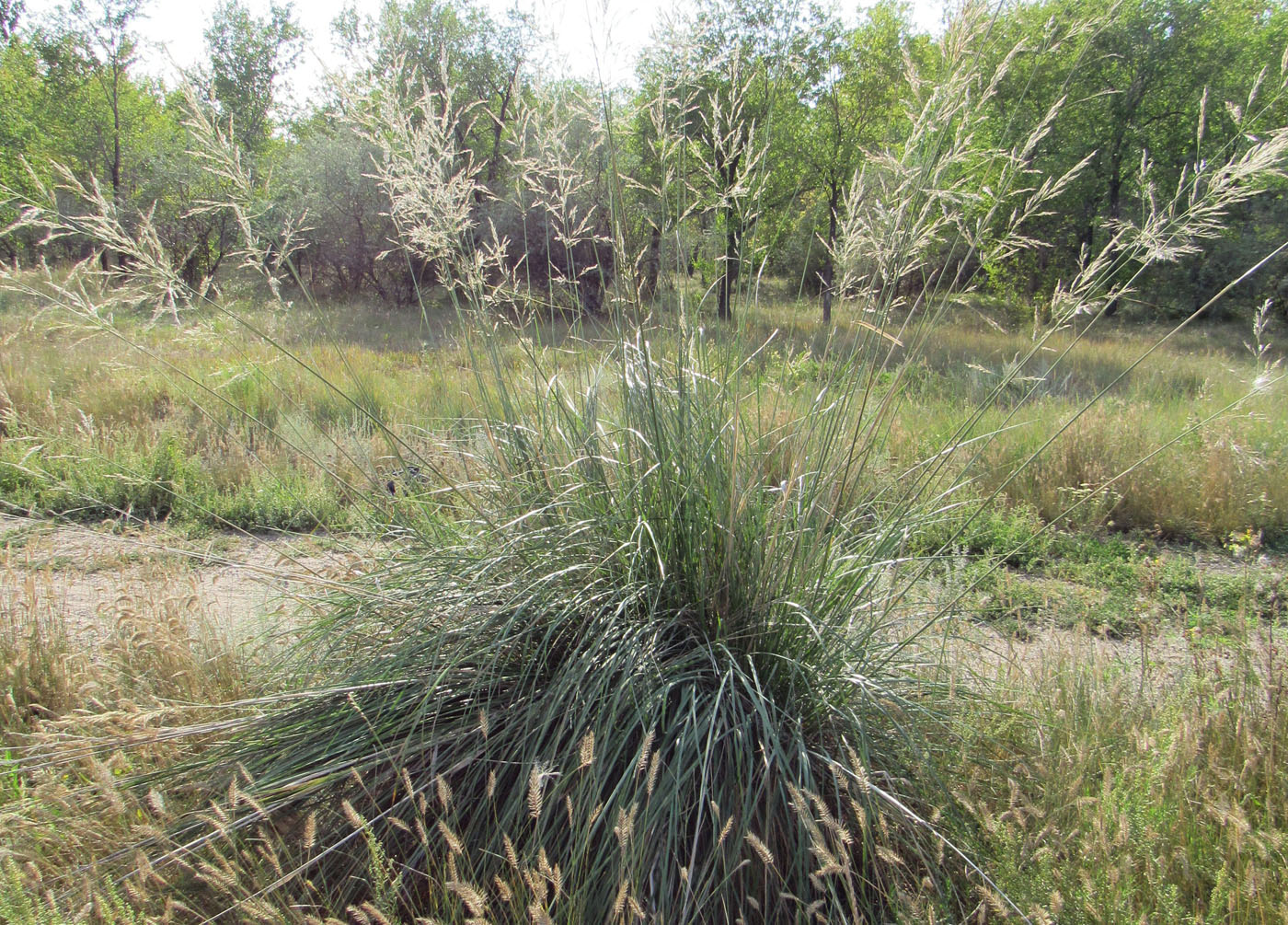 ��������� ���������