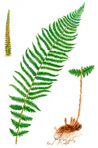 ��������������� �����������������