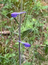 ��������� ��������