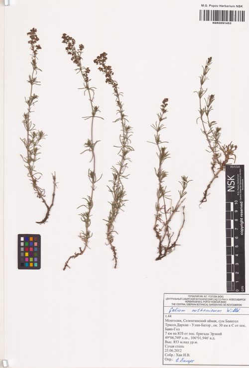 ����������� �������