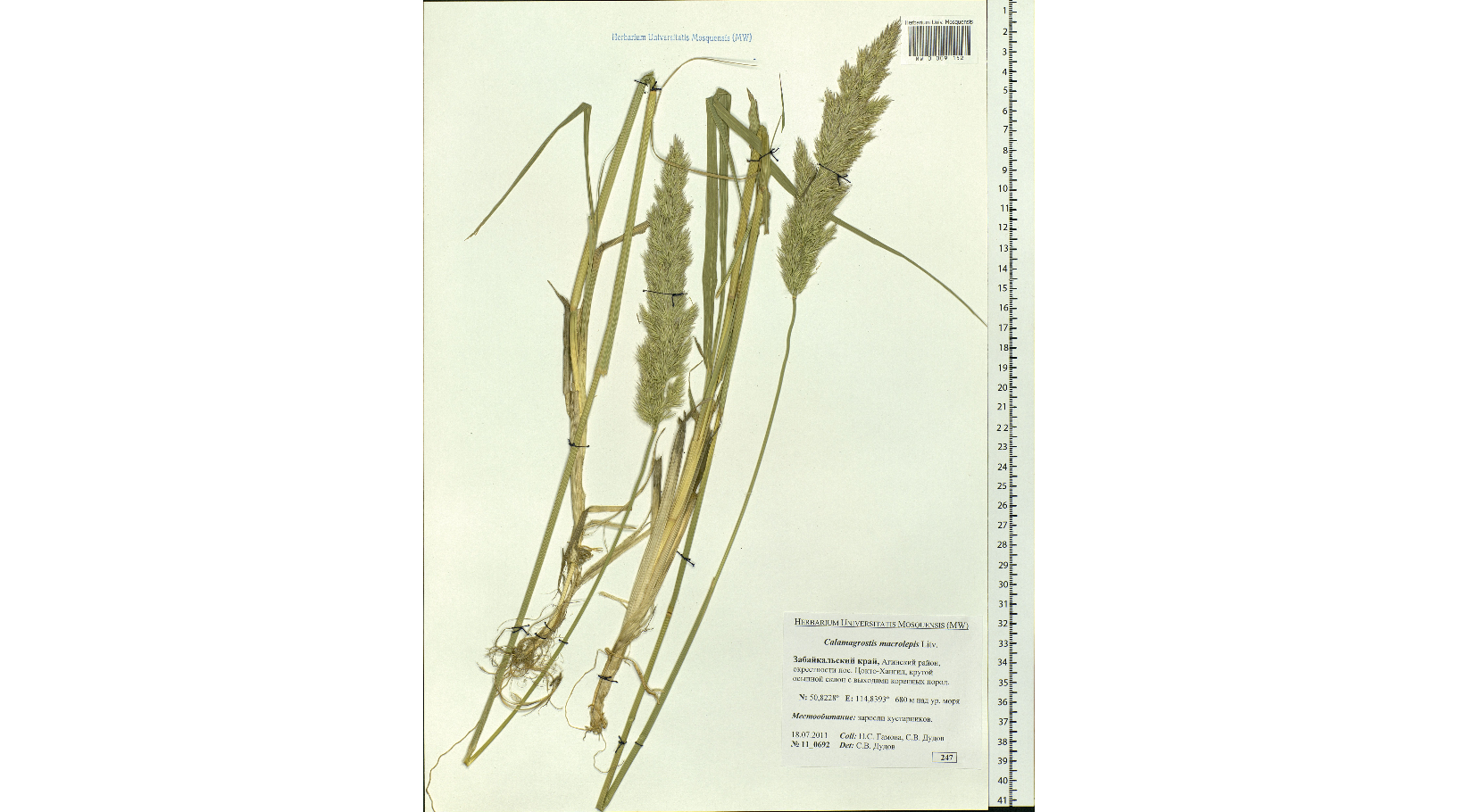 ������ ��������������