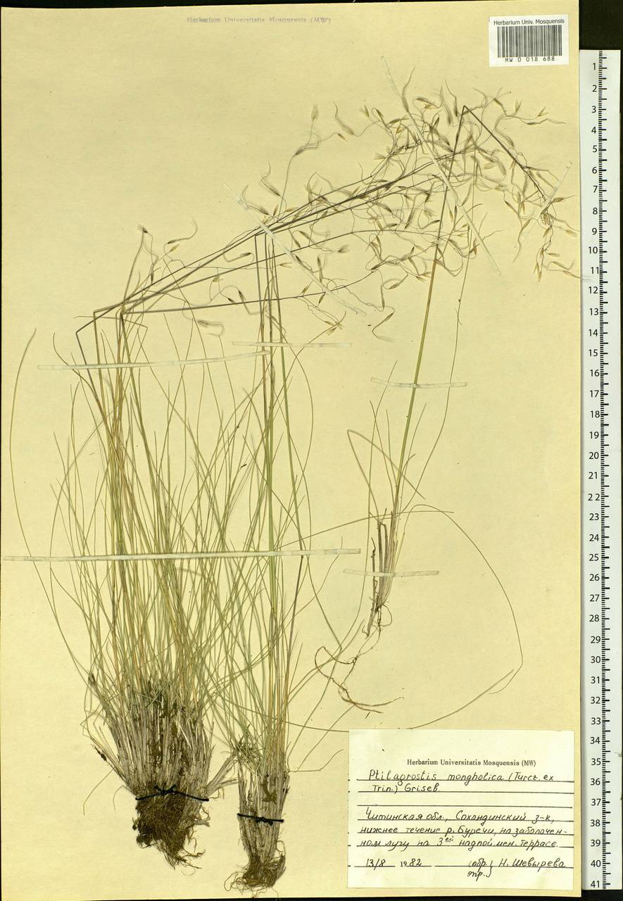 ��������� �����������