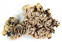 ���������� ����������